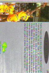 Sports Card Back
