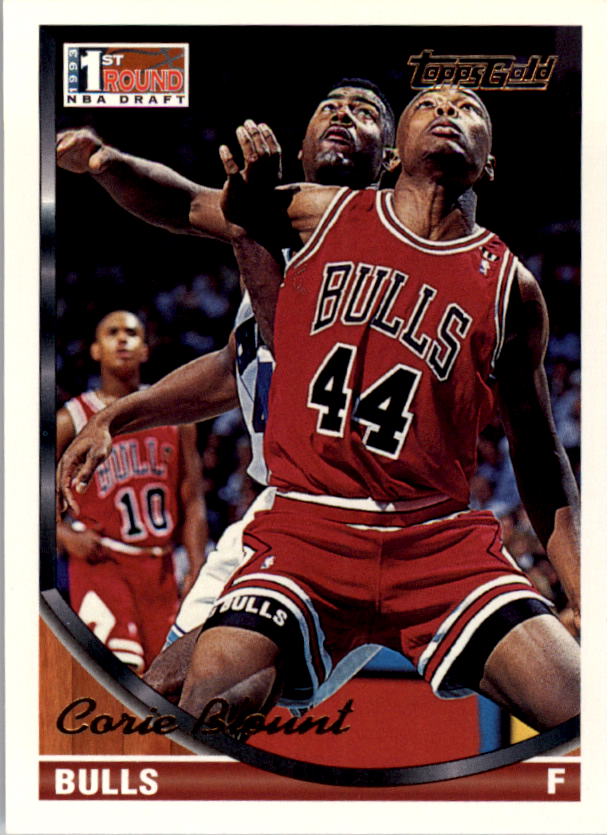1993-94 Topps Gold Basketball Series Two (199-396) Singles - You Choose - Picture 236 of 366
