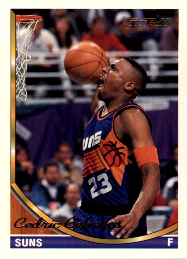 1993-94 Topps Gold Basketball Series Two (199-396) Singles - You Choose - Picture 270 of 366