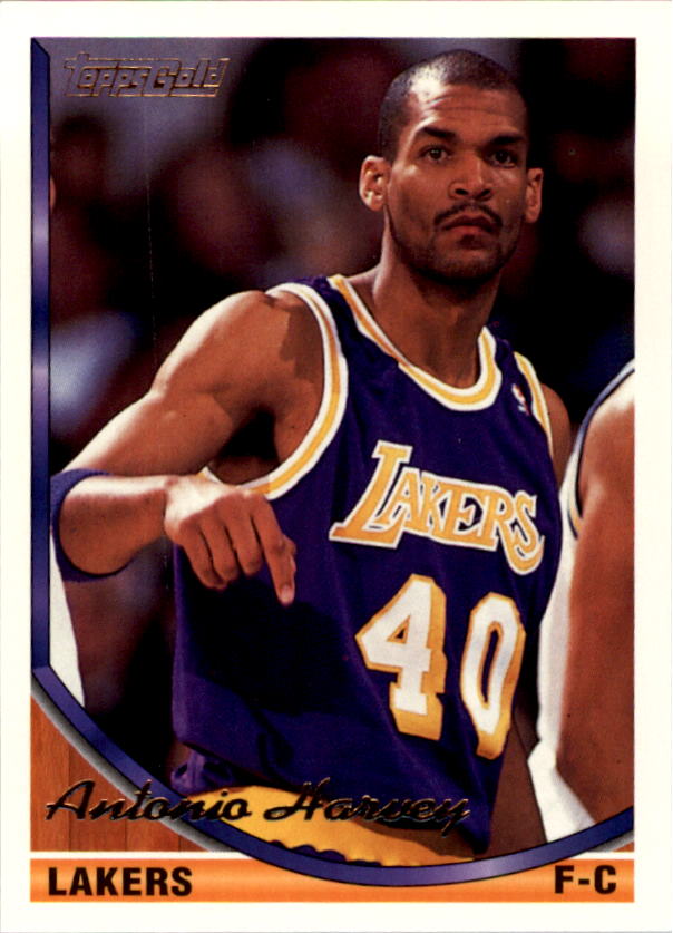1993-94 Topps Gold Basketball Series Two (199-396) Singles - You Choose - Picture 304 of 366