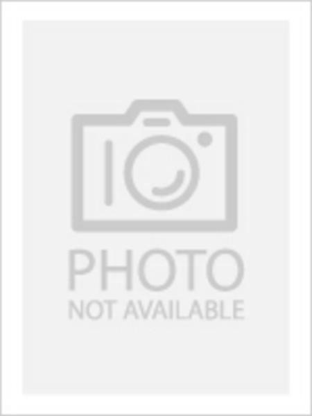 Dennis Rodman cards (1989-2022) Bulls Pistons Spurs Lakers - You Choose - Picture 151 of 168