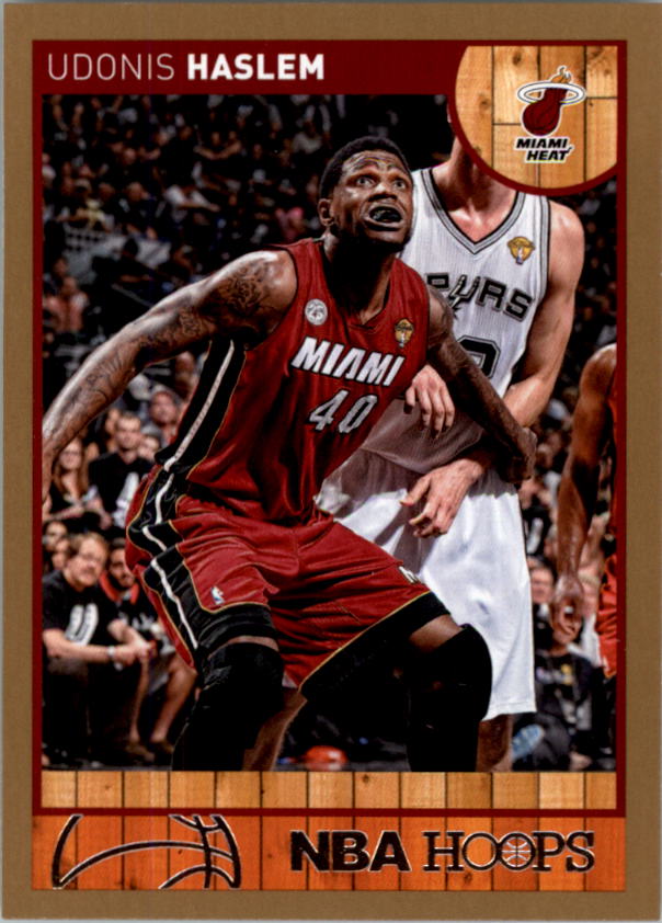 2013-14 Hoops Gold #82 Udonis Haslem