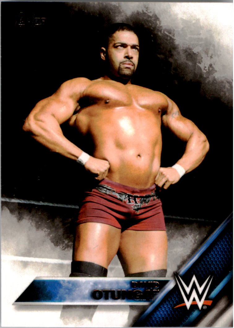 A4604- 2016 Topps WWE Then Now Forever #s 101-200 You Pick- 15+ FREE US SHIP - Picture 20 of 168