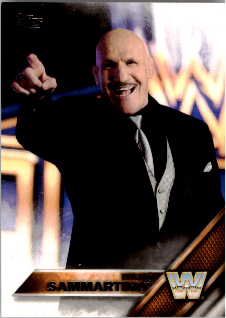 A4604- 2016 Topps WWE Then Now Forever #s 101-200 You Pick- 15+ FREE US SHIP - Picture 74 of 168