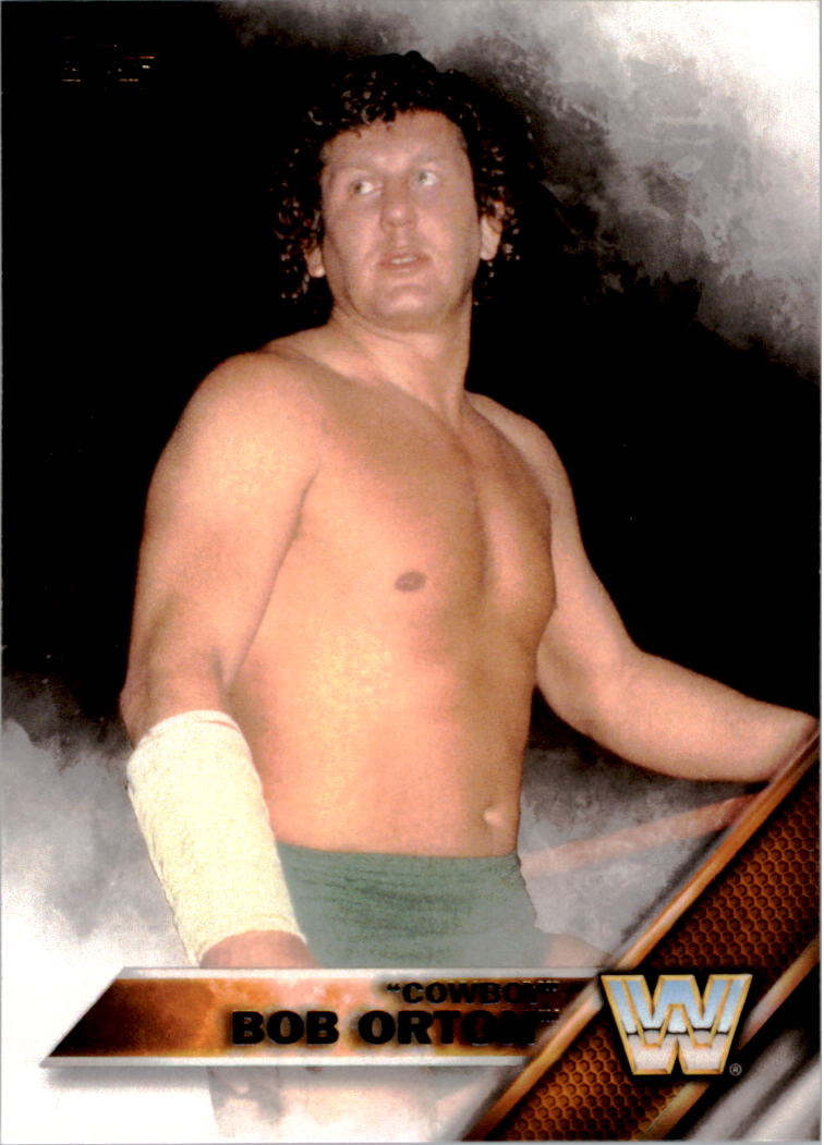 A4604- 2016 Topps WWE Then Now Forever #s 101-200 You Pick- 15+ FREE US SHIP - Picture 78 of 168