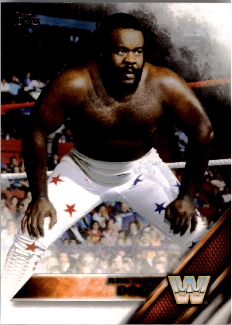 A4604- 2016 Topps WWE Then Now Forever #s 101-200 You Pick- 15+ FREE US SHIP - Picture 102 of 168