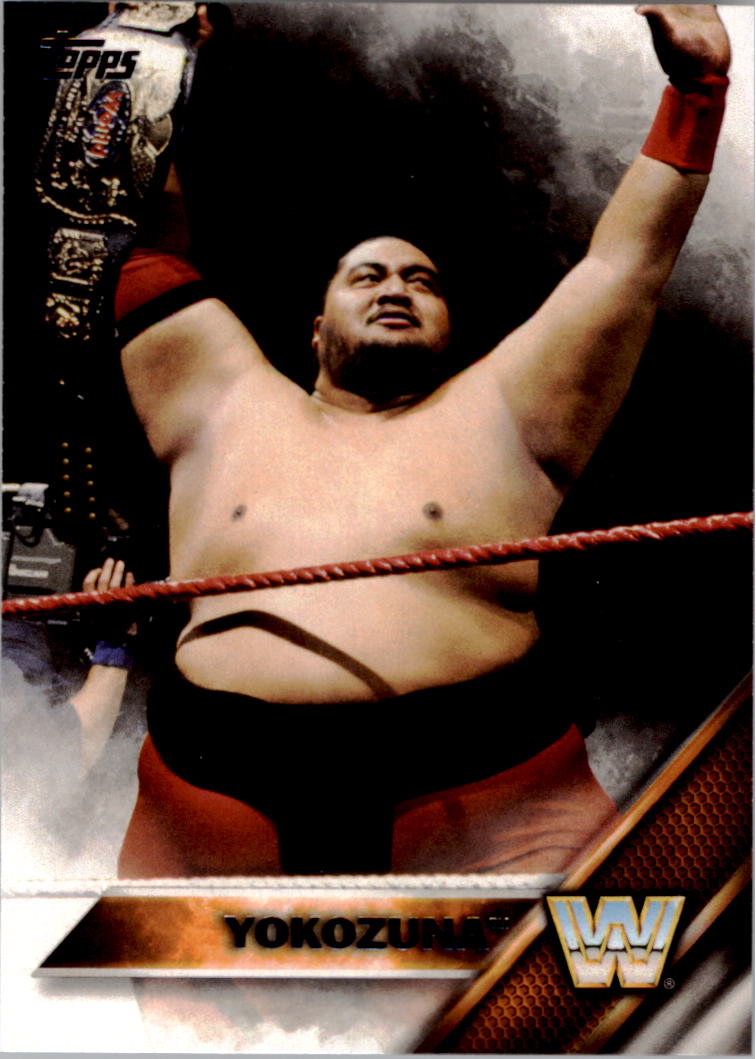 A4604- 2016 Topps WWE Then Now Forever #s 101-200 You Pick- 15+ FREE US SHIP - Picture 138 of 168
