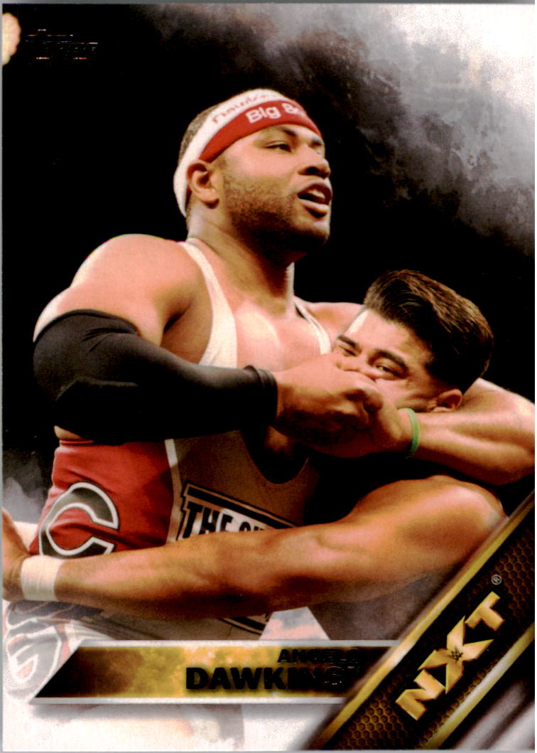 A4604- 2016 Topps WWE Then Now Forever #s 101-200 You Pick- 15+ FREE US SHIP - Picture 140 of 168