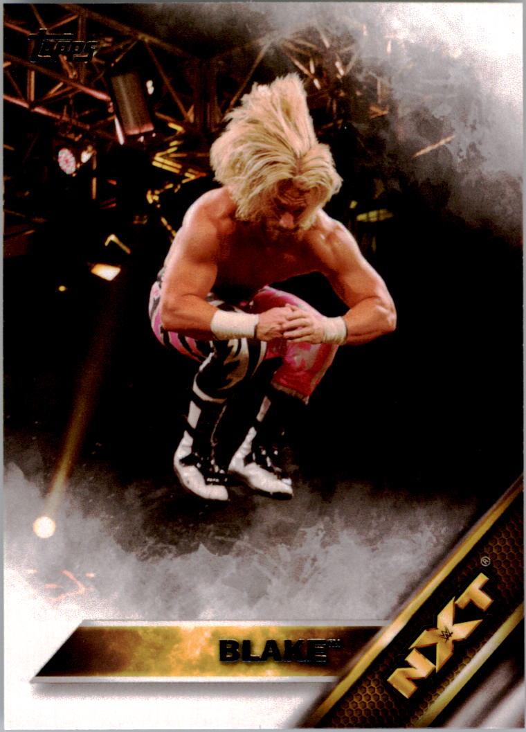 A4604- 2016 Topps WWE Then Now Forever #s 101-200 You Pick- 15+ FREE US SHIP - Picture 148 of 168