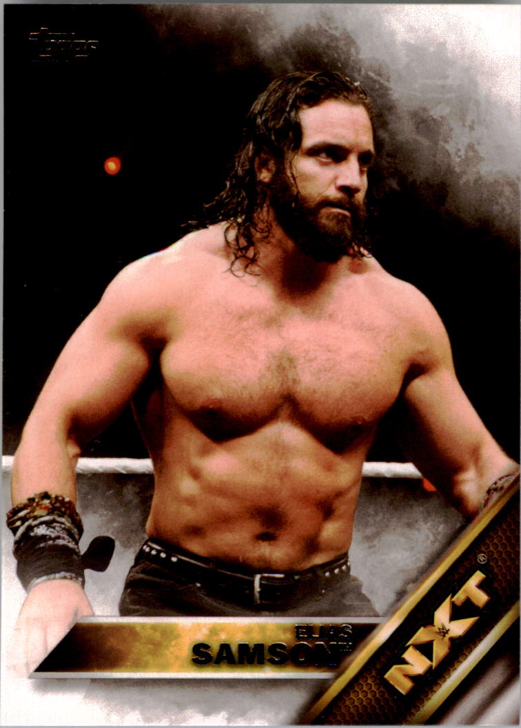 A4604- 2016 Topps WWE Then Now Forever #s 101-200 You Pick- 15+ FREE US SHIP - Picture 152 of 168