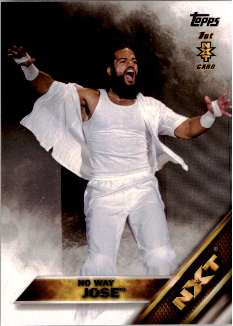 A4604- 2016 Topps WWE Then Now Forever #s 101-200 You Pick- 15+ FREE US SHIP - Picture 156 of 168