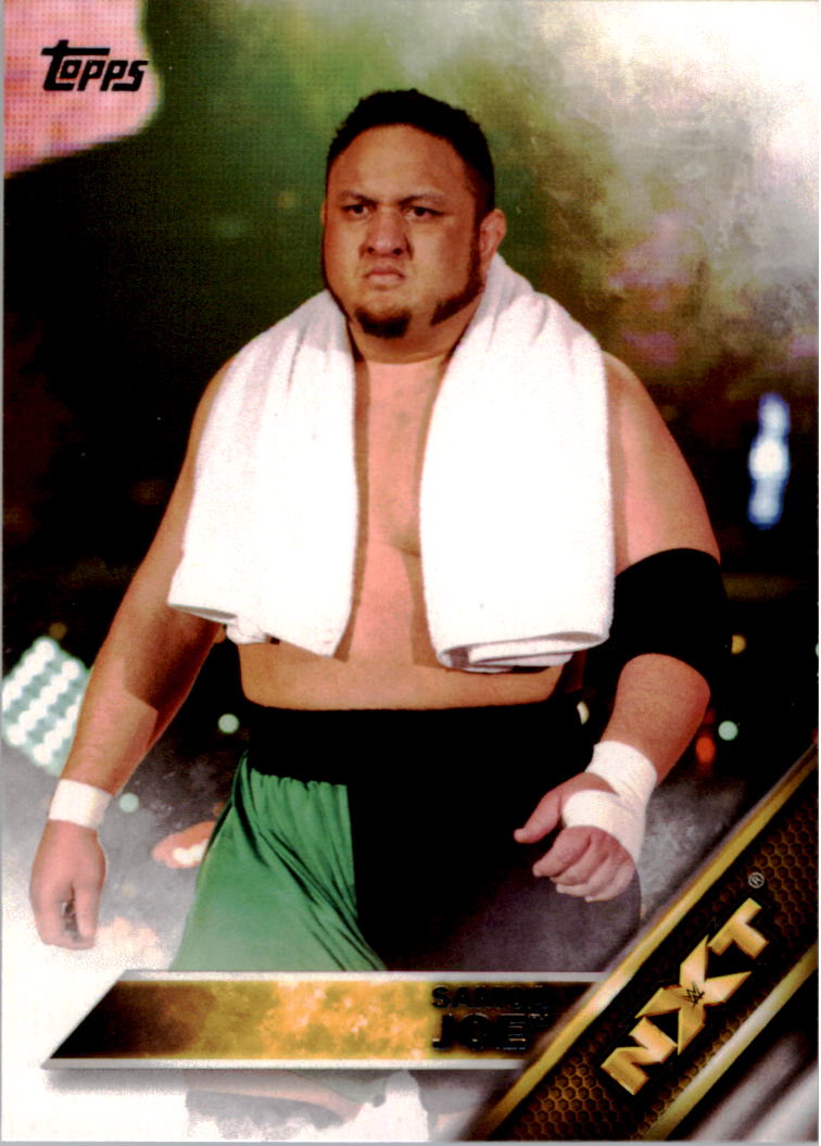 A4604- 2016 Topps WWE Then Now Forever #s 101-200 You Pick- 15+ FREE US SHIP - Picture 160 of 168