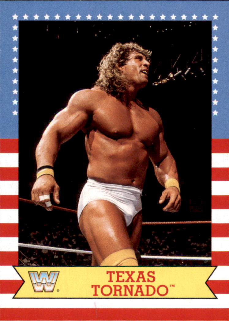 B0202- 2017 Topps Heritage WWE Wrestling Cards -You Pick- 15+ FREE US SHIP - Picture 200 of 281