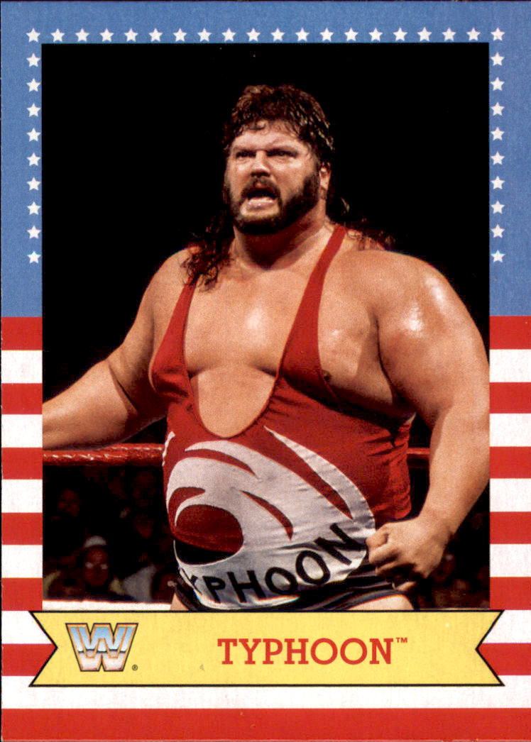 B0202- 2017 Topps Heritage WWE Wrestling Cards -You Pick- 15+ FREE US SHIP - Picture 202 of 281