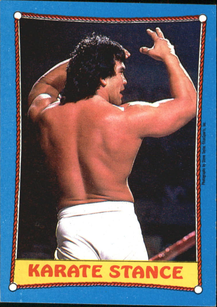 1987 Topps WWF #43 Karate Stance RA