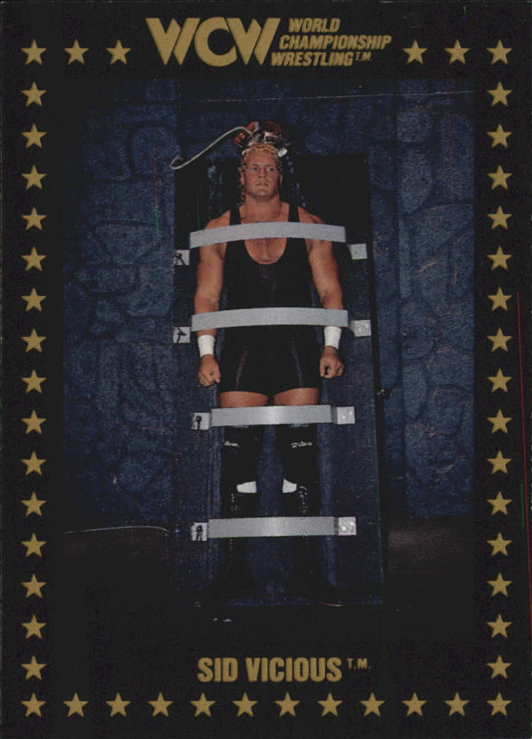 1991 Championship Marketing WCW #10 Sid Vicious RC