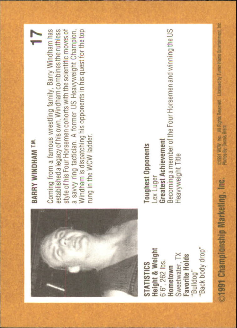 1991 Championship Marketing WCW #17 Barry Windham back image