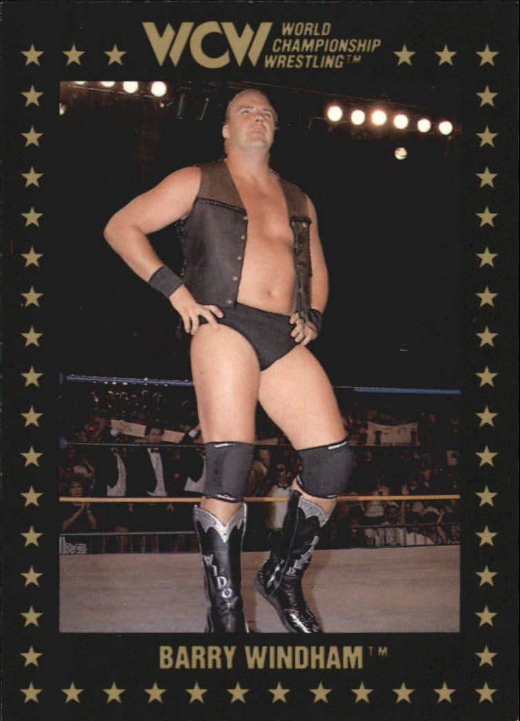 1991 Championship Marketing WCW #17 Barry Windham