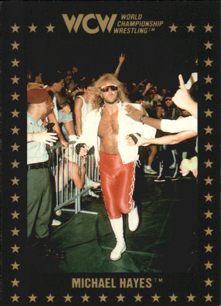 1991 Championship Marketing WCW #24 Michael Hayes