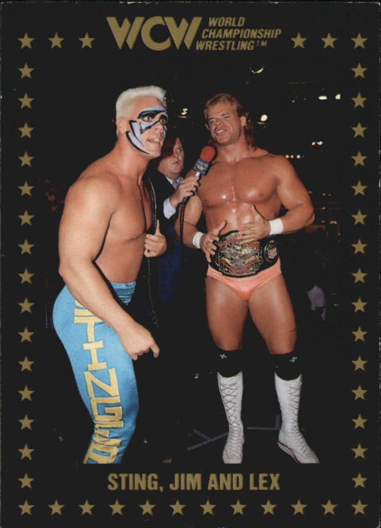 1991 Championship Marketing WCW #53 Sting, Jim and Lex