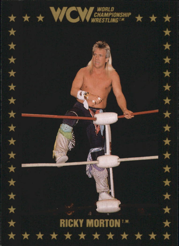 1991 Championship Marketing WCW #102 Ricky Morton