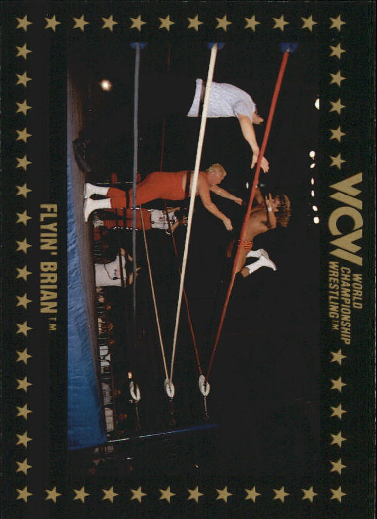 1991 Championship Marketing WCW #62 Flyin' Brian RC