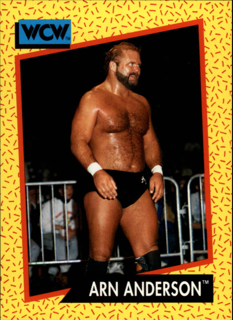 1991 Impel WCW #48 Arn Anderson