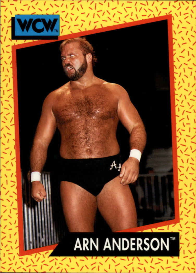 1991 Impel WCW #50 Arn Anderson