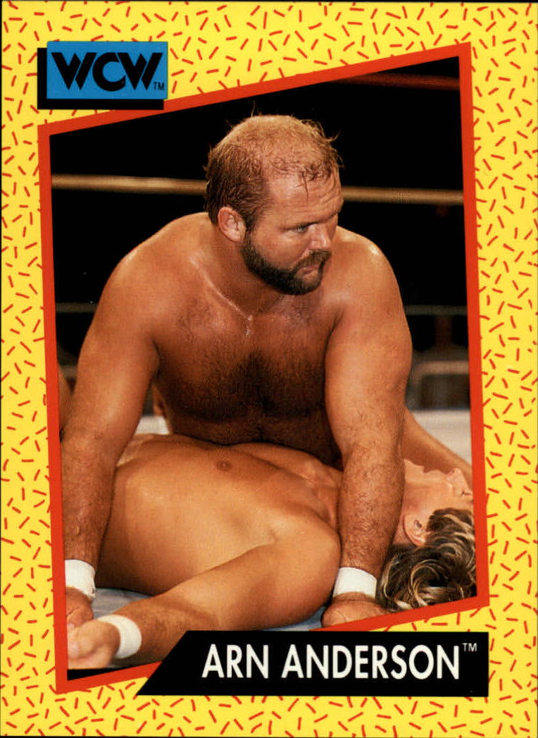 1991 Impel WCW #52 Arn Anderson