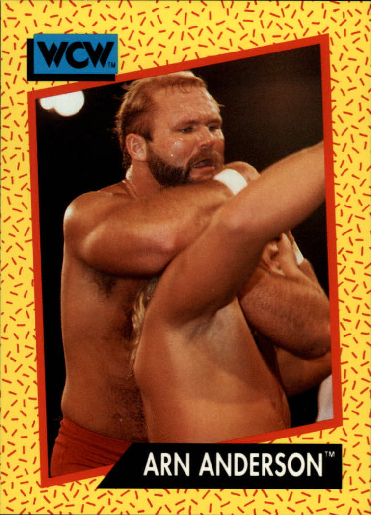 1991 Impel WCW #53 Arn Anderson