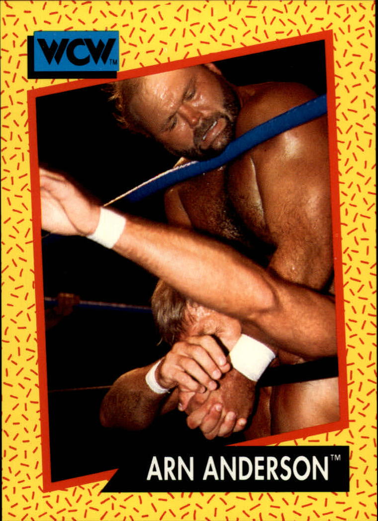 1991 Impel WCW #54 Arn Anderson