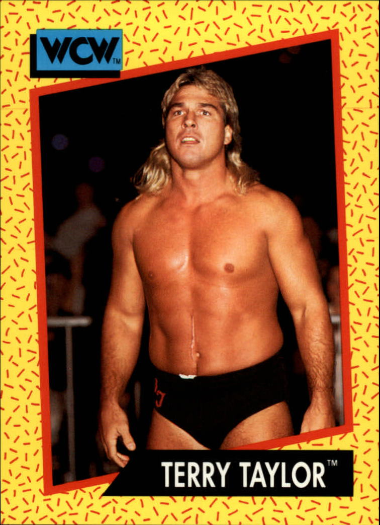 1991 Impel WCW #68 Terry Taylor