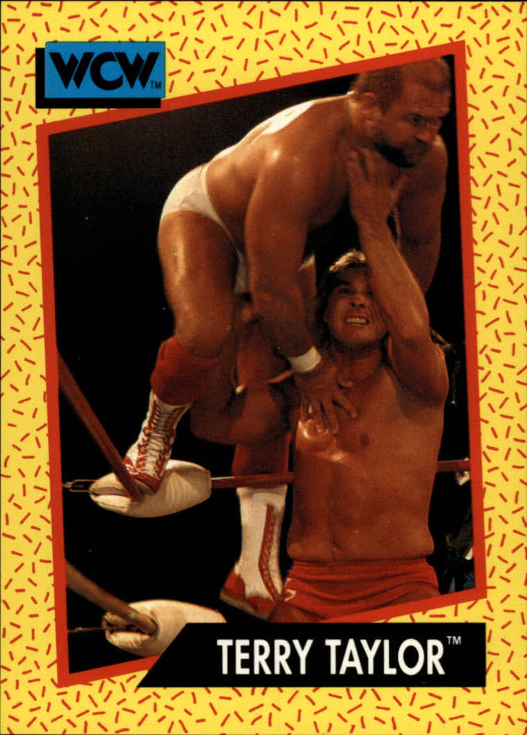 1991 Impel WCW #70 Terry Taylor