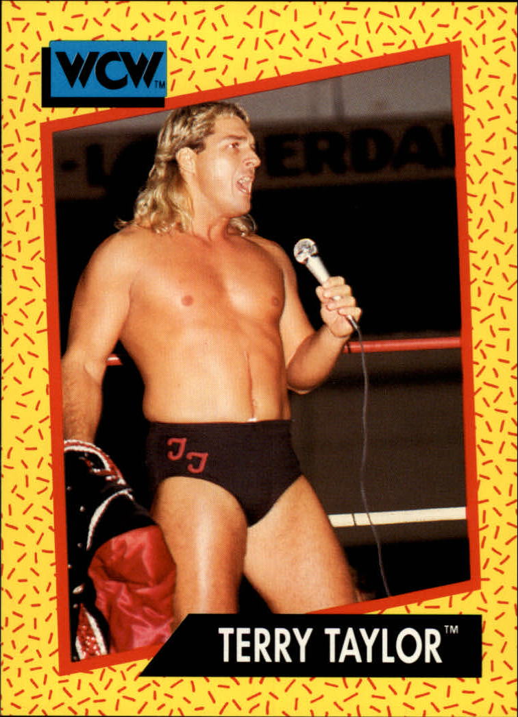1991 Impel WCW #73 Terry Taylor