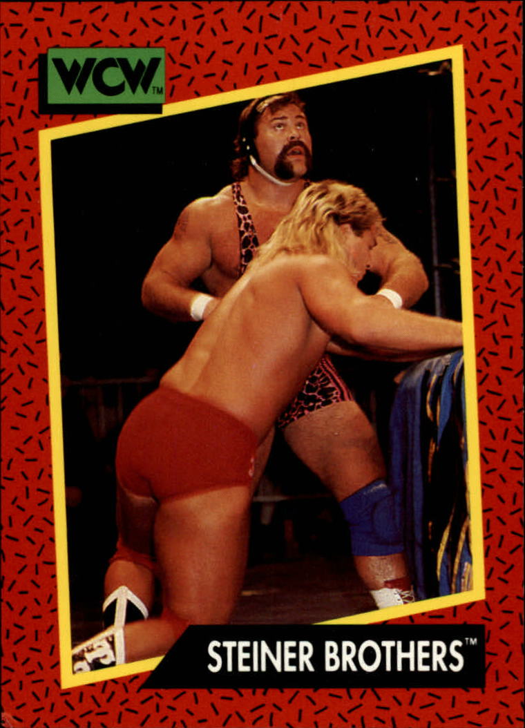 1991 Impel WCW #104 Steiner Brothers