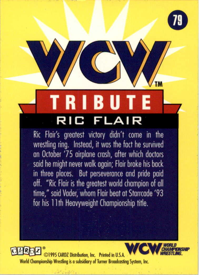 1995 CARDZ WCW Main Event - Sting #4 for sale online | eBay