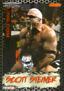 B3377- 2008 TRISTAR TNA Impact Cards 1-69 +Inserts -You Pick- 15+ FREE US SHIP - Picture 22 of 199