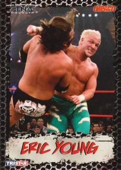 B3377- 2008 TRISTAR TNA Impact Cards 1-69 +Inserts -You Pick- 15+ FREE US SHIP - Picture 26 of 199