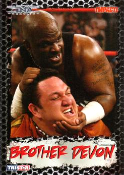 B3377- 2008 TRISTAR TNA Impact Cards 1-69 +Inserts -You Pick- 15+ FREE US SHIP - Picture 44 of 199