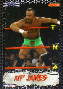 B3377- 2008 TRISTAR TNA Impact Cards 1-69 +Inserts -You Pick- 15+ FREE US SHIP - Picture 48 of 199