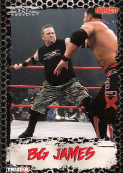 B3377- 2008 TRISTAR TNA Impact Cards 1-69 +Inserts -You Pick- 15+ FREE US SHIP - Picture 54 of 199