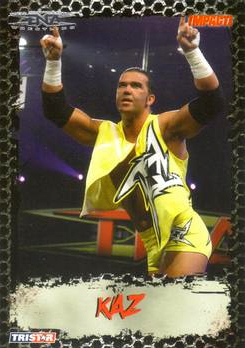 B3377- 2008 TRISTAR TNA Impact Cards 1-69 +Inserts -You Pick- 15+ FREE US SHIP - Picture 58 of 199