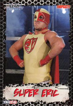 B3377- 2008 TRISTAR TNA Impact Cards 1-69 +Inserts -You Pick- 15+ FREE US SHIP - Picture 62 of 199