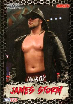 B3377- 2008 TRISTAR TNA Impact Cards 1-69 +Inserts -You Pick- 15+ FREE US SHIP - Picture 66 of 199