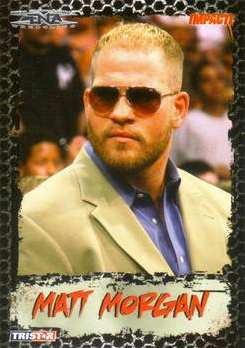 B3377- 2008 TRISTAR TNA Impact Cards 1-69 +Inserts -You Pick- 15+ FREE US SHIP - Picture 114 of 199