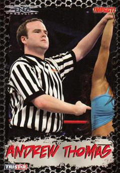 B3377- 2008 TRISTAR TNA Impact Cards 1-69 +Inserts -You Pick- 15+ FREE US SHIP - Picture 120 of 199