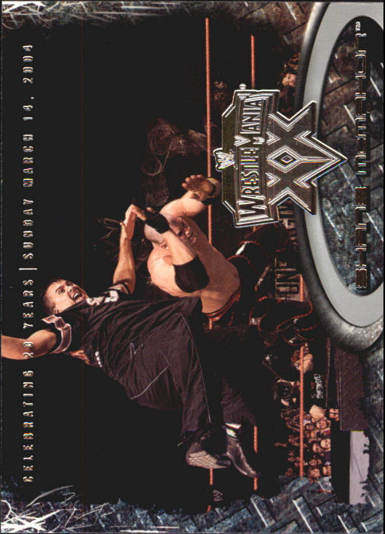 2004 Fleer WWE WrestleMania XX #32 Shane McMahon