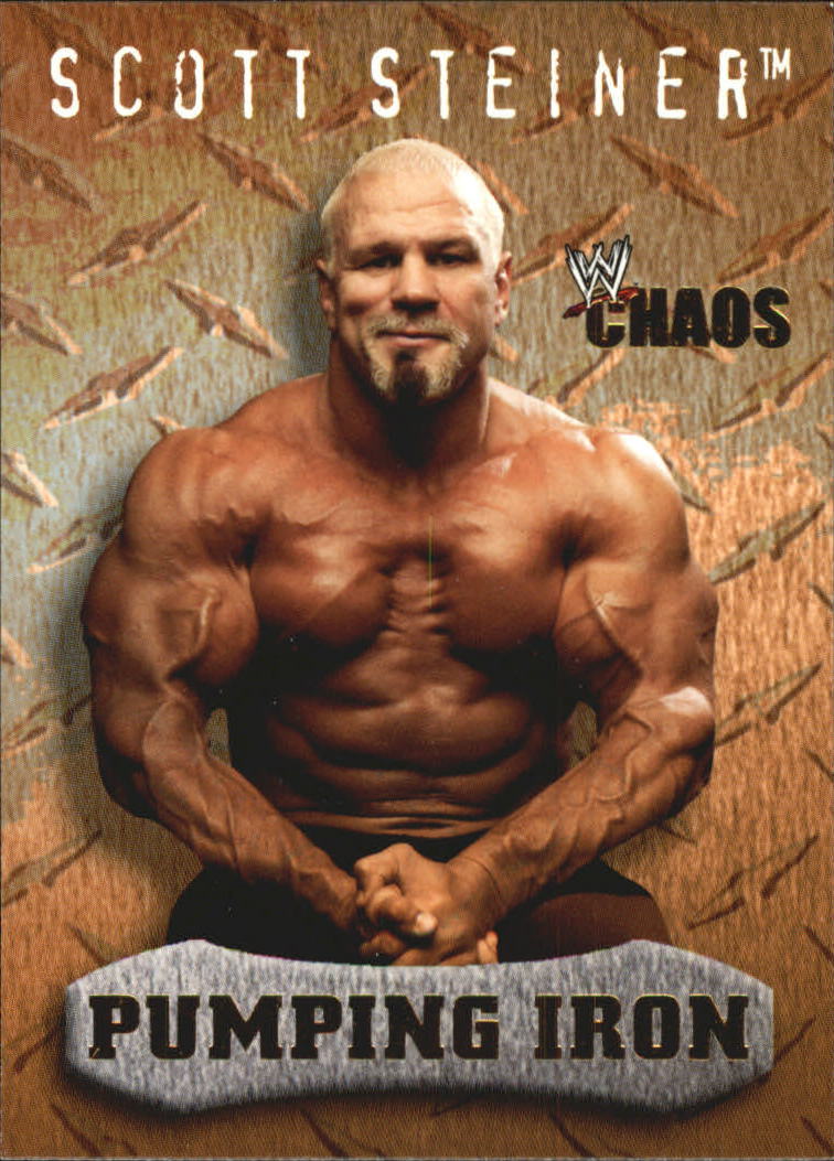 B3338- 2004 Fleer WWE Chaos Wrestling Card #s 1-95 -You Pick- 15+ FREE US SHIP - Picture 166 of 169