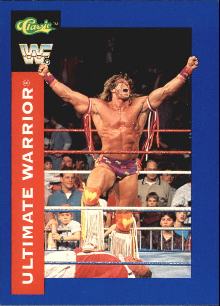 B1105- 1991 Classic WWF Superstars Wrestling 1-150 -You Pick- 15+ FREE US SHIP - Picture 64 of 110