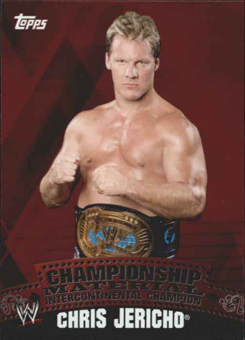 2010 Topps WWE Championship Material Unified Tag Team Puzzle Back #C15 Chris Jericho